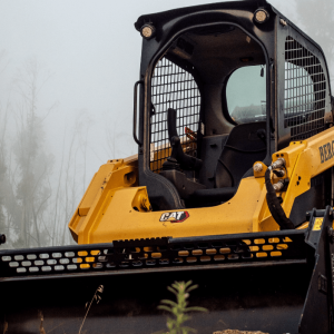 Bobcat