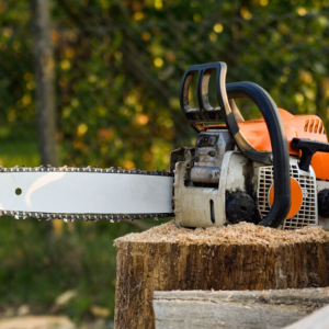 Woodcutter Sawing